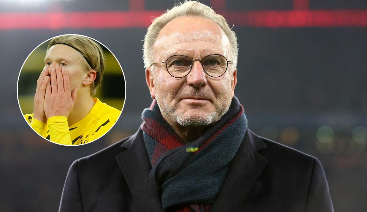 绫球好玩有讲究